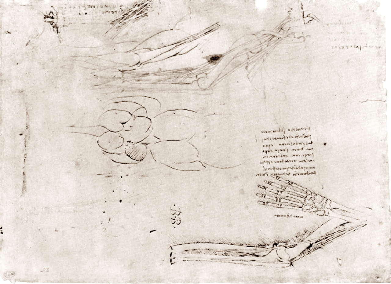 Leonardo+da+Vinci-1452-1519 (749).jpg